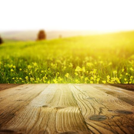 خرید و دانلود عکس Background-Part-17 کد 5386 | پیک فاکس | Pic Fox