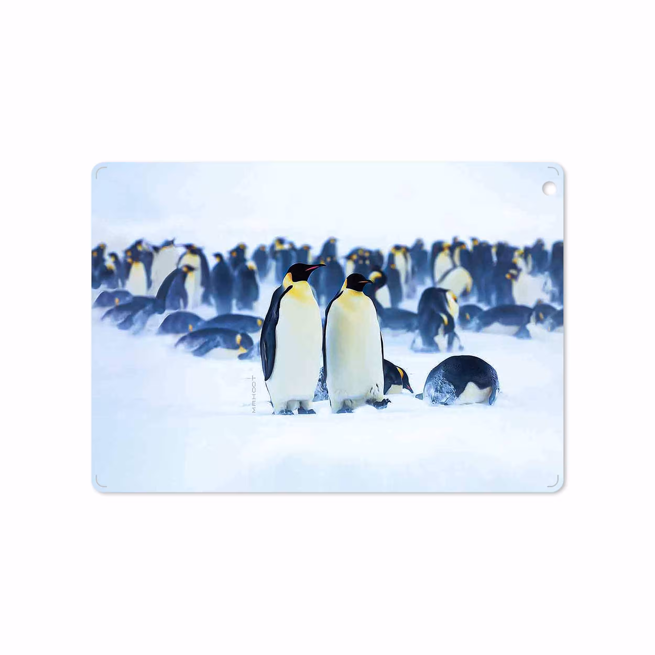برچسب پوششی ماهوت مدل Penguin مناسب برای تبلت اپل iPad Air 2013 A1475