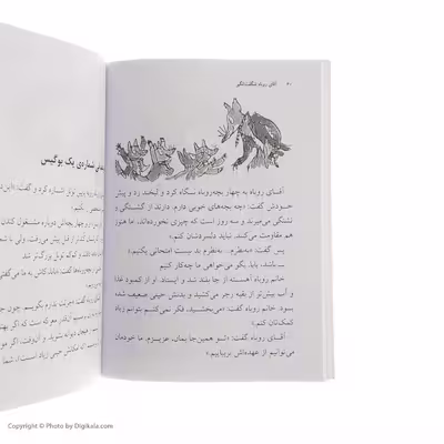 کتاب آقای روباه شگفت انگیز اثر رولد دال نشر افق 