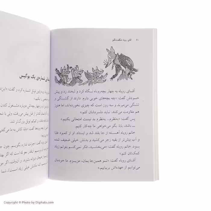 کتاب آقای روباه شگفت انگیز اثر رولد دال نشر افق 