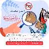 ماگ حس آمیزی طرح عکاسی مدل باستینگ 