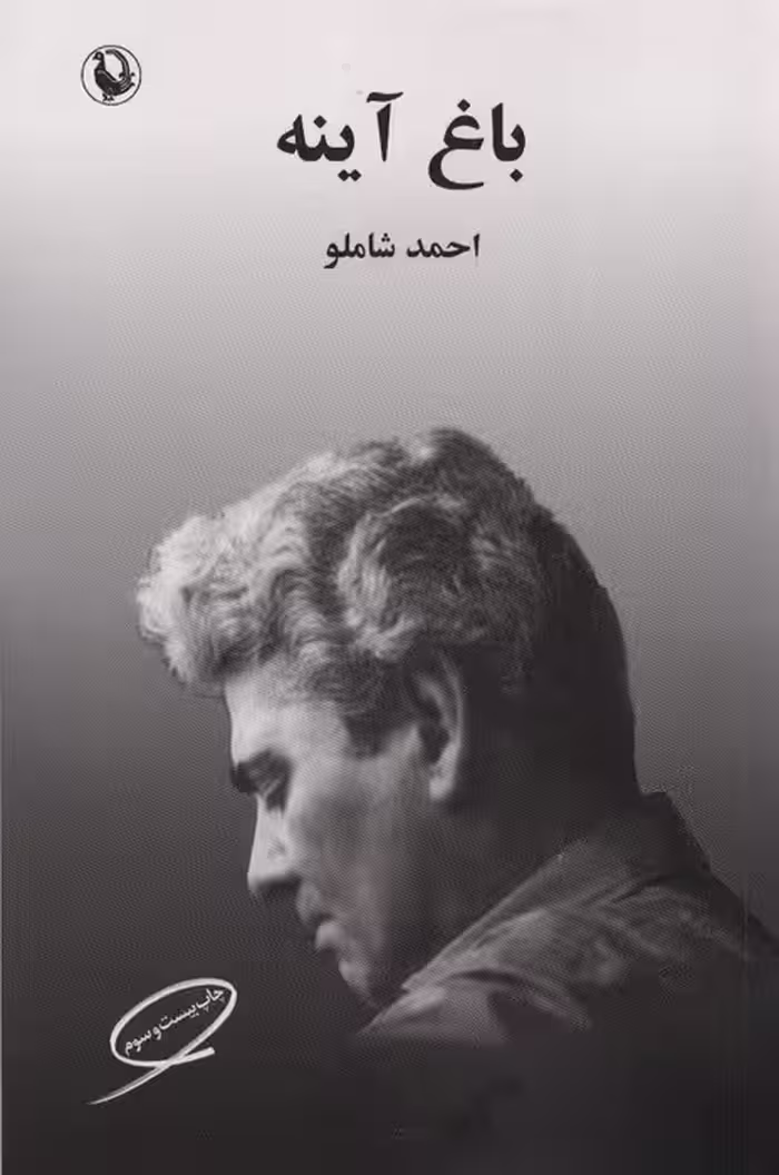 باغ آینه - ناشربوک | خرید آنلاین کتاب