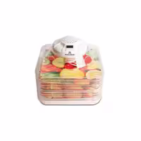 میوه خشک کن خانگی و حرفه ای رزنبرگ مدل BY-88