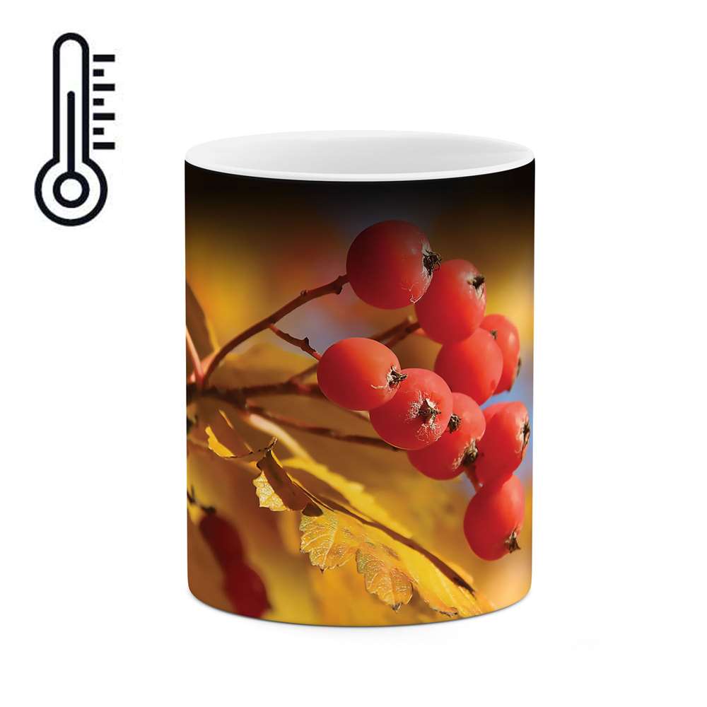 ماگ حرارتی طرح ازگیل مدل mgh02578