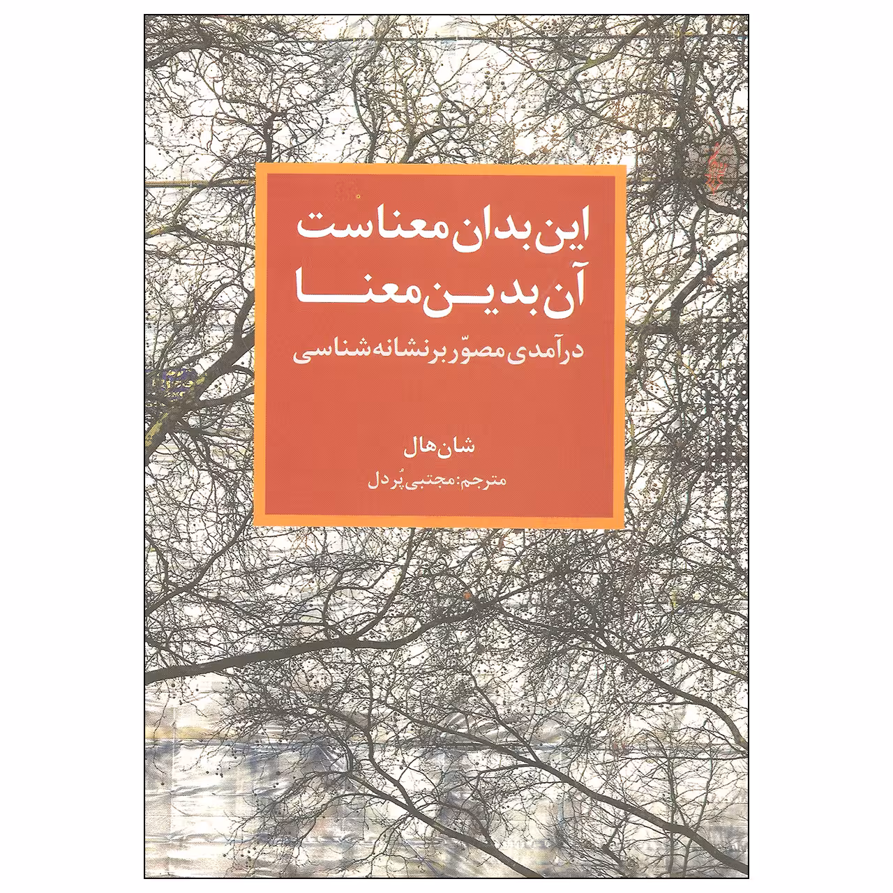 کتاب این بدان معناست آن بدین معنا اثر شان هال نشر ترانه
