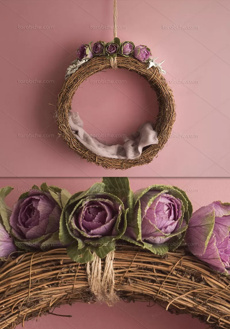 بک گراند عکاسی نوزاد حلقه گل | گرافیک با طعم تربچه