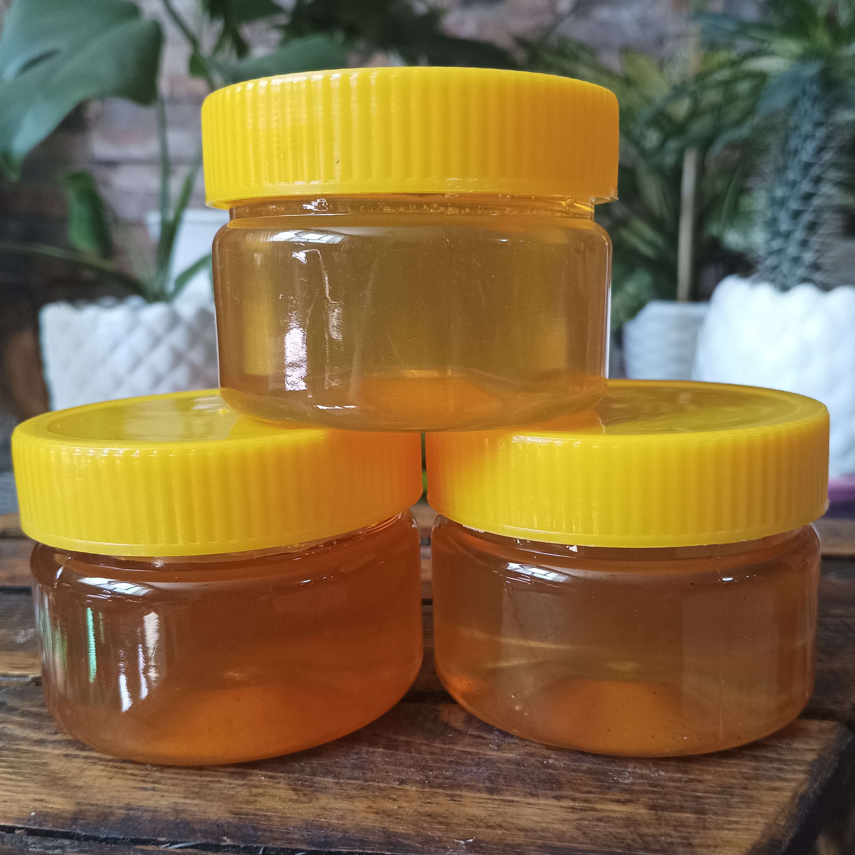 پک دیابتی 600گرمی . ساکاروز پایین . سه نمونه عسل عالی