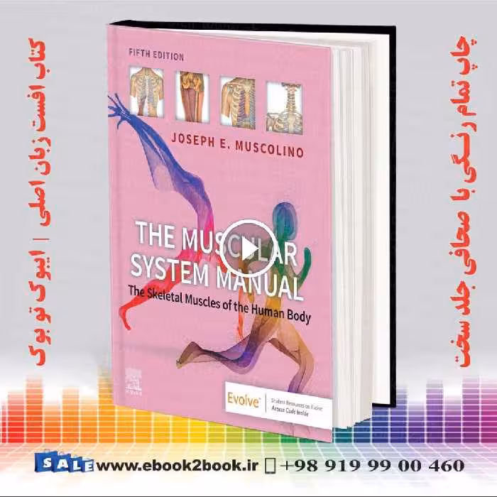 The Muscular System Manual: The Skeletal Muscles of the Human Body 5th Edition