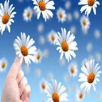 خرید و دانلود عکس IranBCS کد 27844 | پیک فاکس | Pic Fox