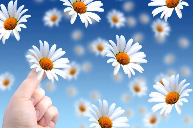 خرید و دانلود عکس IranBCS کد 27844 | پیک فاکس | Pic Fox