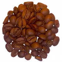 دانه قهوه عربیکا ریو - 5kg - رست مدیوم