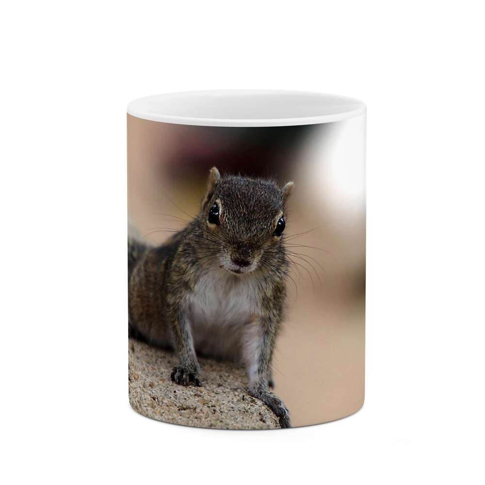 ماگ طرح طبیعت و حیات وحش زیبا  مدل mgp14803