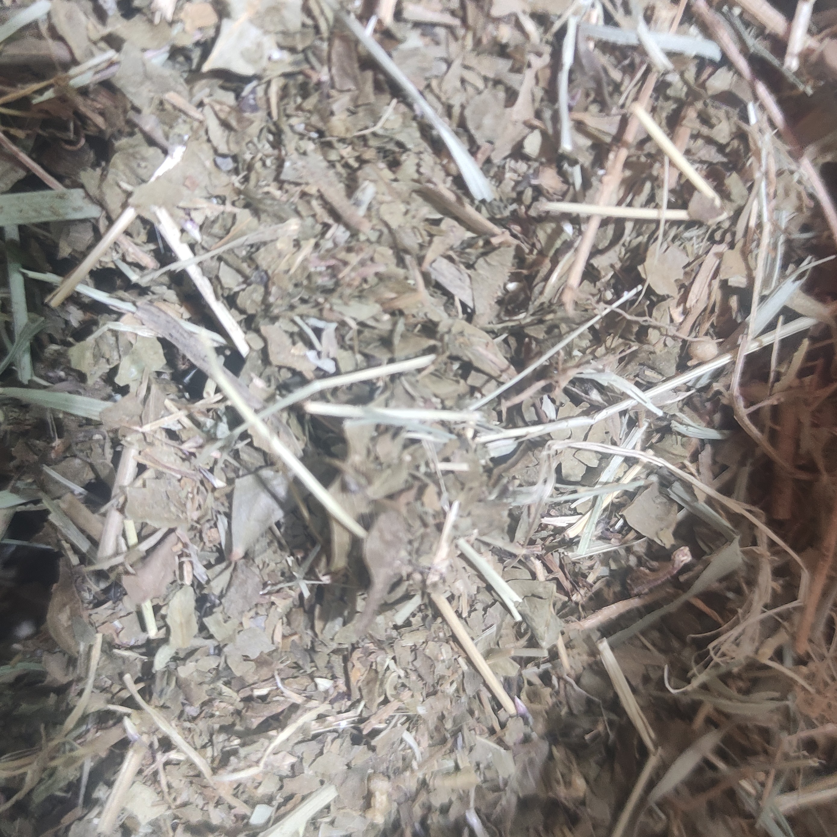 برگ حنا 100 گرم 