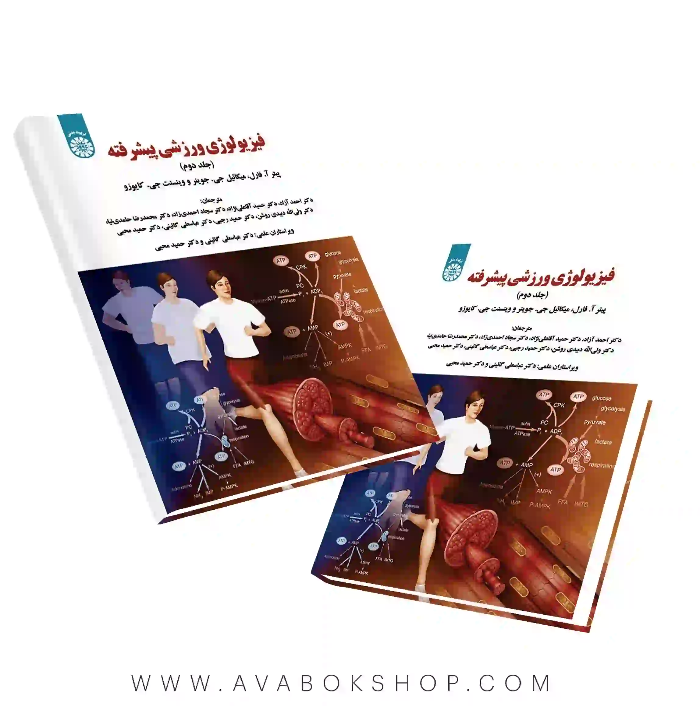 کتاب فیزیولوژی ورزشی پیشرفته ترجمه گائینی جلد دوم انتشارات سمت