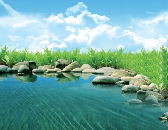 خرید و دانلود عکس Nature-Part-29 کد 36634 | پیک فاکس | Pic Fox