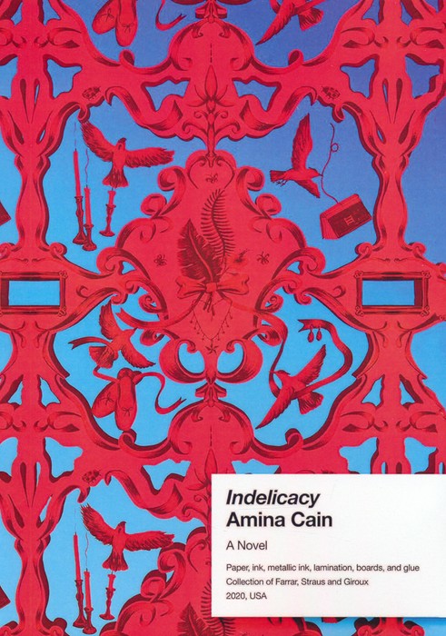 INDELICACY:نابخردی (زبان اصلی،انگلیسی) - ناشربوک | خرید آنلاین کتاب