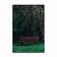 تابلو شاسی گوفی مدل طبیعت نیمکت در طبیعت طرح Nature Jungle Bench کد GRSS26 | دنیای قاب