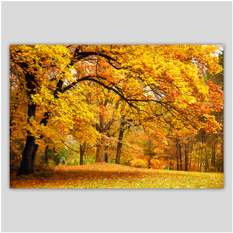 تابلو شاسی دیواری دکوگراف پاییز زرد کد 486 | دنیای قاب