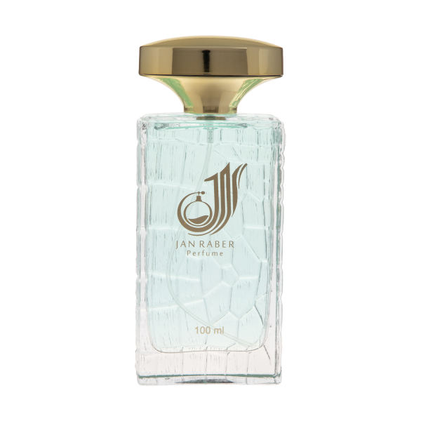 پرفیوم مردانه جان رابر مدل VERSACE AQVA حجم 100 میلی لیتر