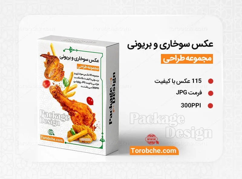 مجموعه 85 عکس سوخاری و بریانی با کیفیت | گرافیک با طعم تربچه