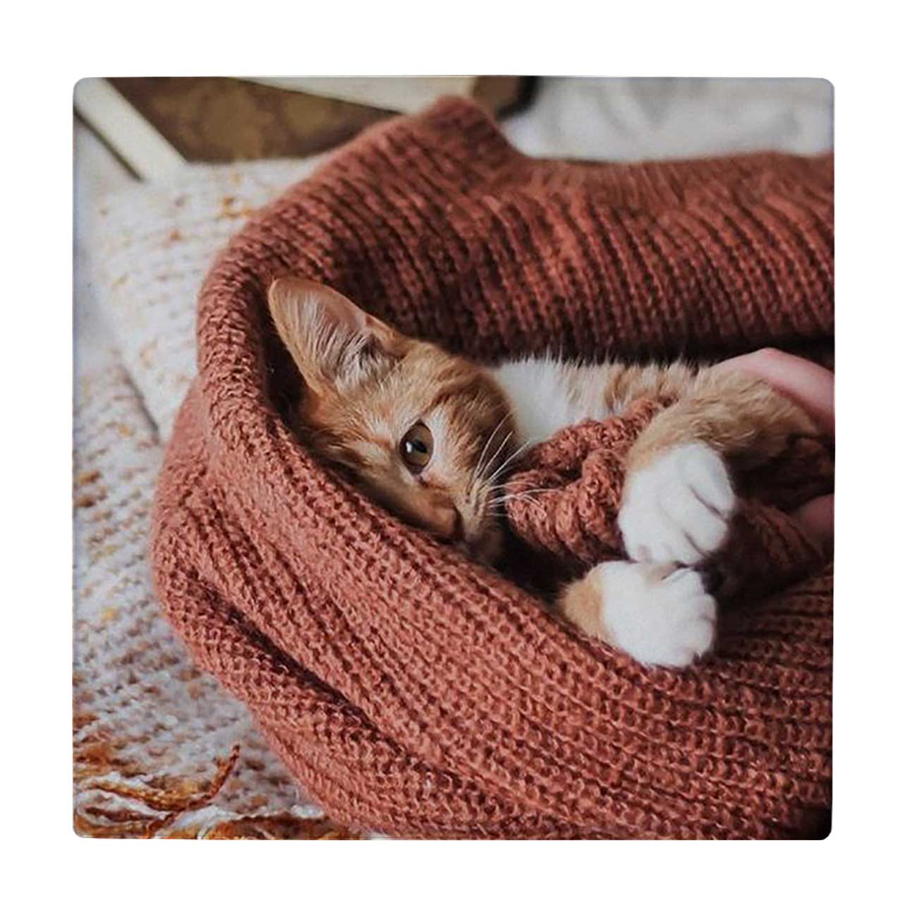  زیر لیوانی  طرح گربه لمیده کد    5770801_4055