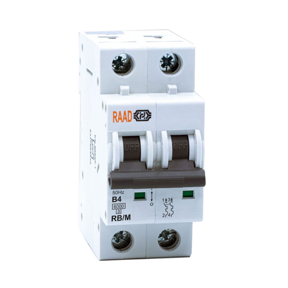 کلید مینیاتوری 2 پل 4 آمپر RB-M-2P-B4-6KA رعد