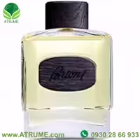 عطر ادکلن بریونی بریونی مردانه 100 میل مردانه