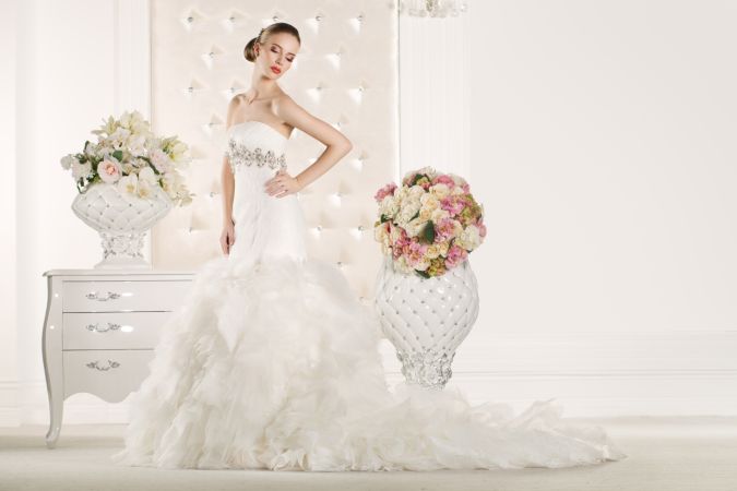 خرید و دانلود عکس Beautiful brides and wedding کد 6240 | پیک فاکس | Pic Fox