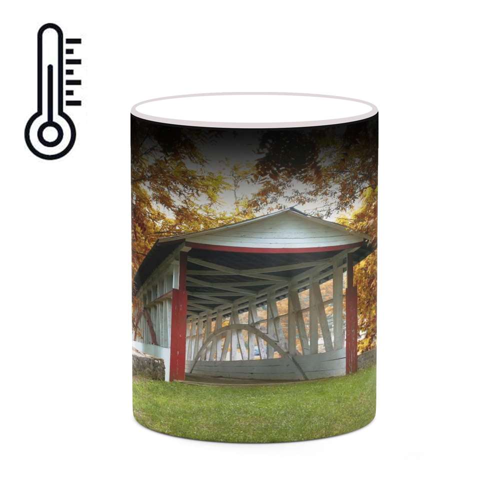 ماگ حرارتی کاکتی طرح منظره مدل mgh18175