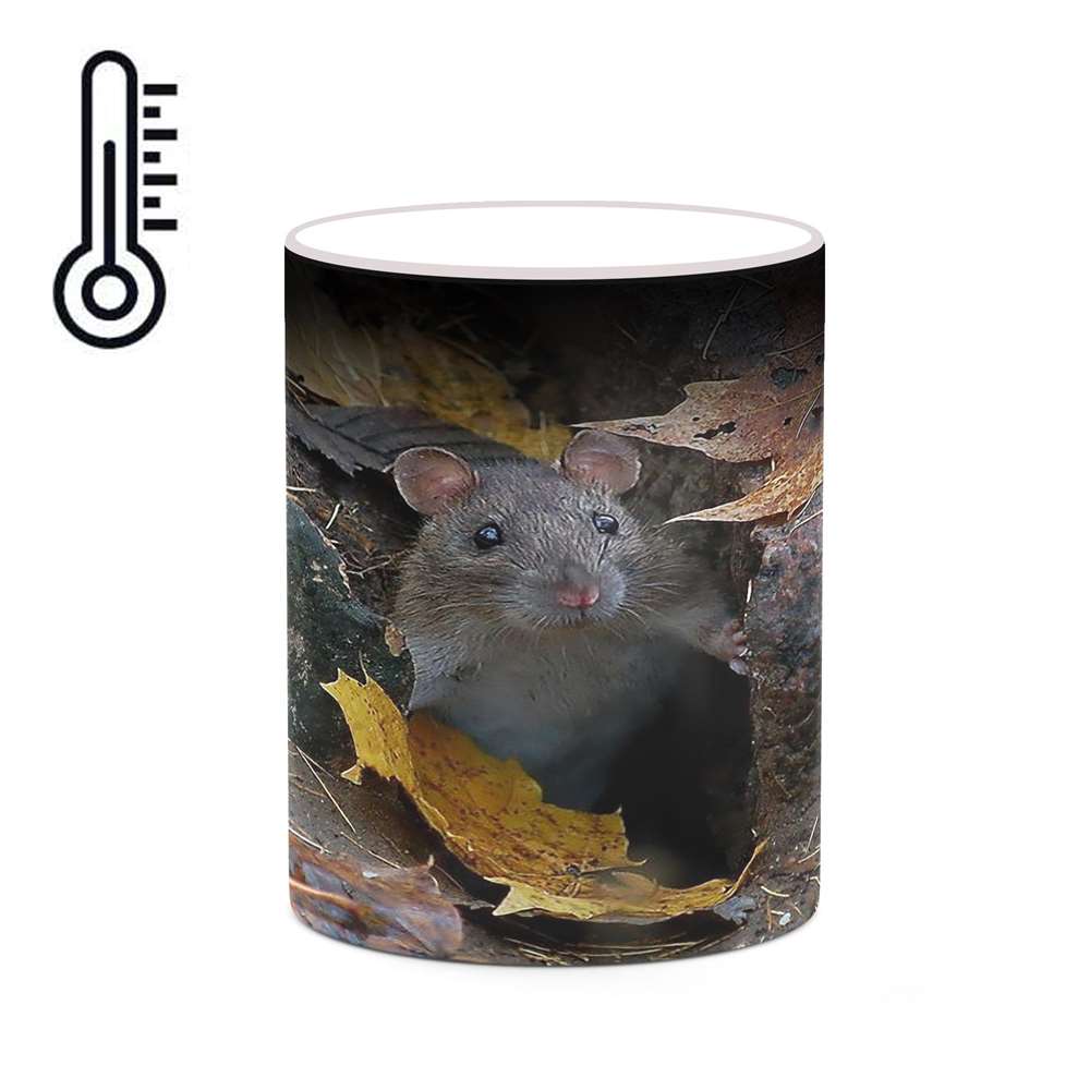 ماگ حرارتی کاکتی طرح موش مدل mgh19248