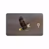 برچسب پوششی ماهوت مدل Eagle مناسب برای تبلت سامسونگ Galaxy Tab A 10.1 2016 T585