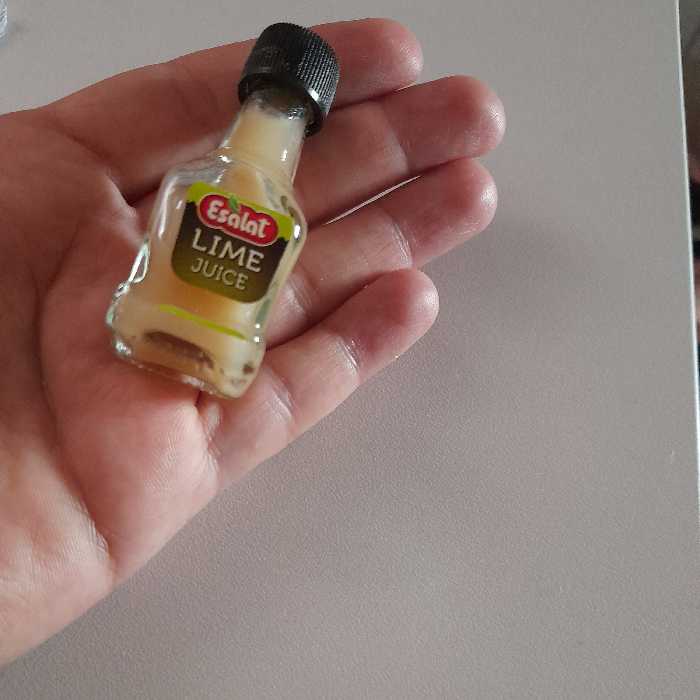 مینیاتوری آبلیمو اصالت