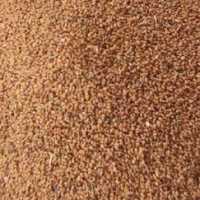 خاکشیر شیرازی اعلاء  100گرمی عطاری دستانی 