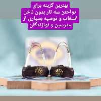 مضراب سه تار            پنج عدد