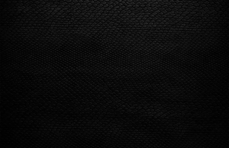 تکسچر پوست مار مشکی | گرافیک با طعم تربچه