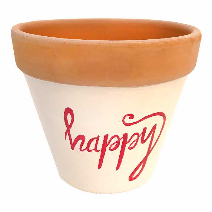 گلدان سفالی مدل یاقوت happy کد 4