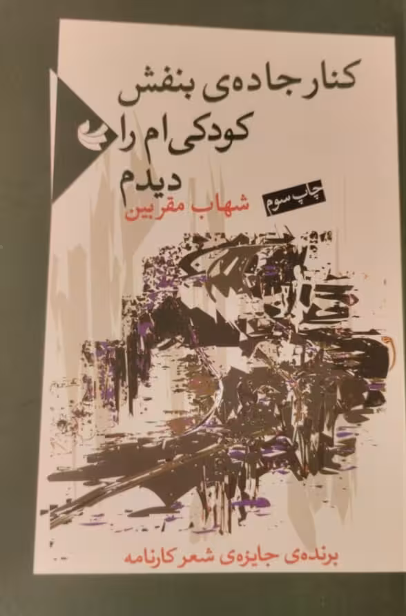 کنار جاده ی بنفش کودکی ام را دیدم | شهاب مقربین