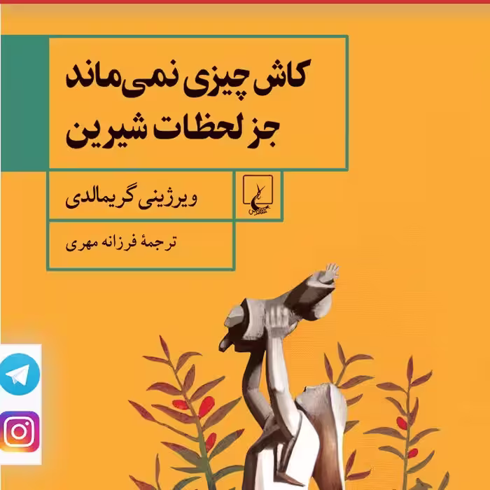 کاش چیزی نمی ماند جز لحظات شیرین ویرژنی گریمالدی نشر ققنوس