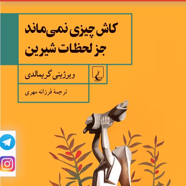 کاش چیزی نمی ماند جز لحظات شیرین ویرژنی گریمالدی نشر ققنوس
