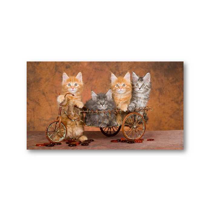 تابلو شاسی مدل گربه های شیطون