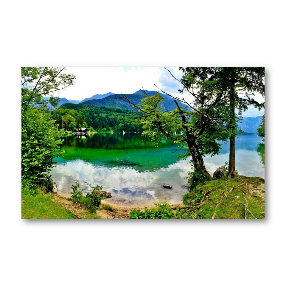 تابلو شاسی مدل ساحل