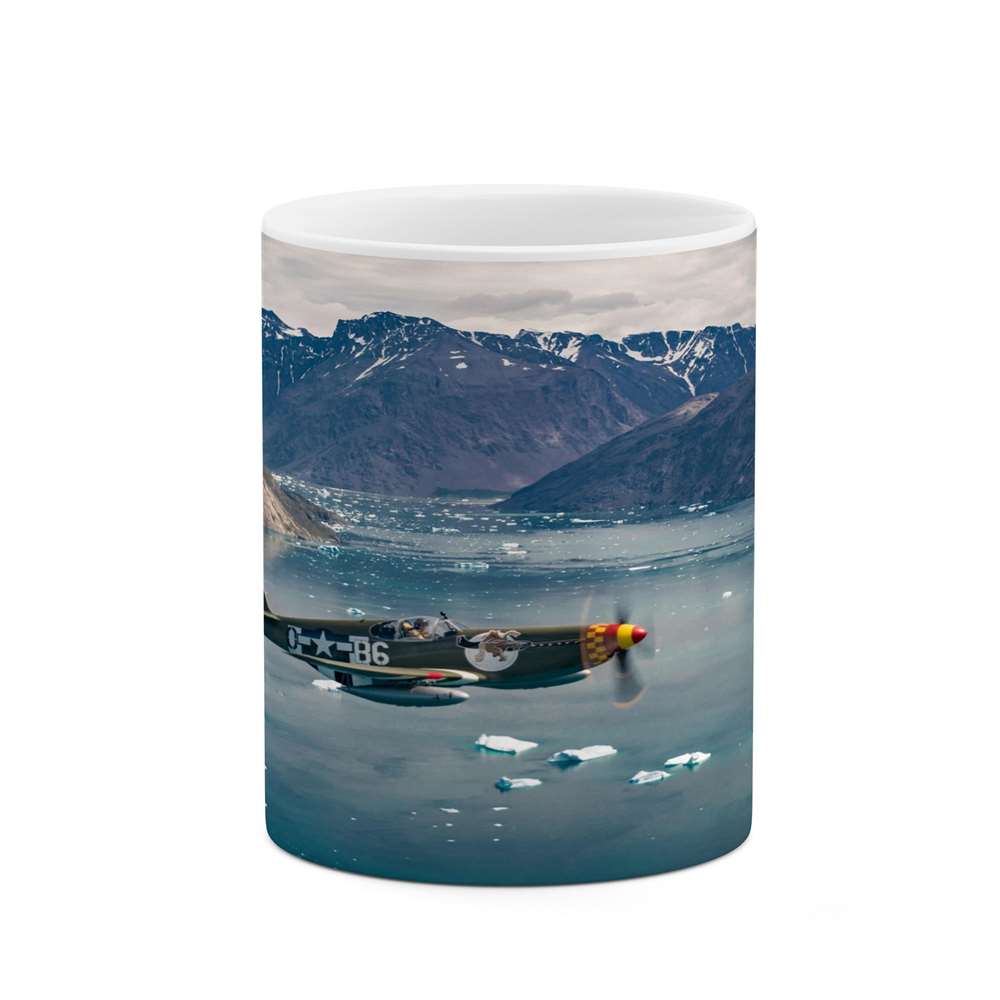 ماگ کاکتی طرح هواپیما مدل mgs14581