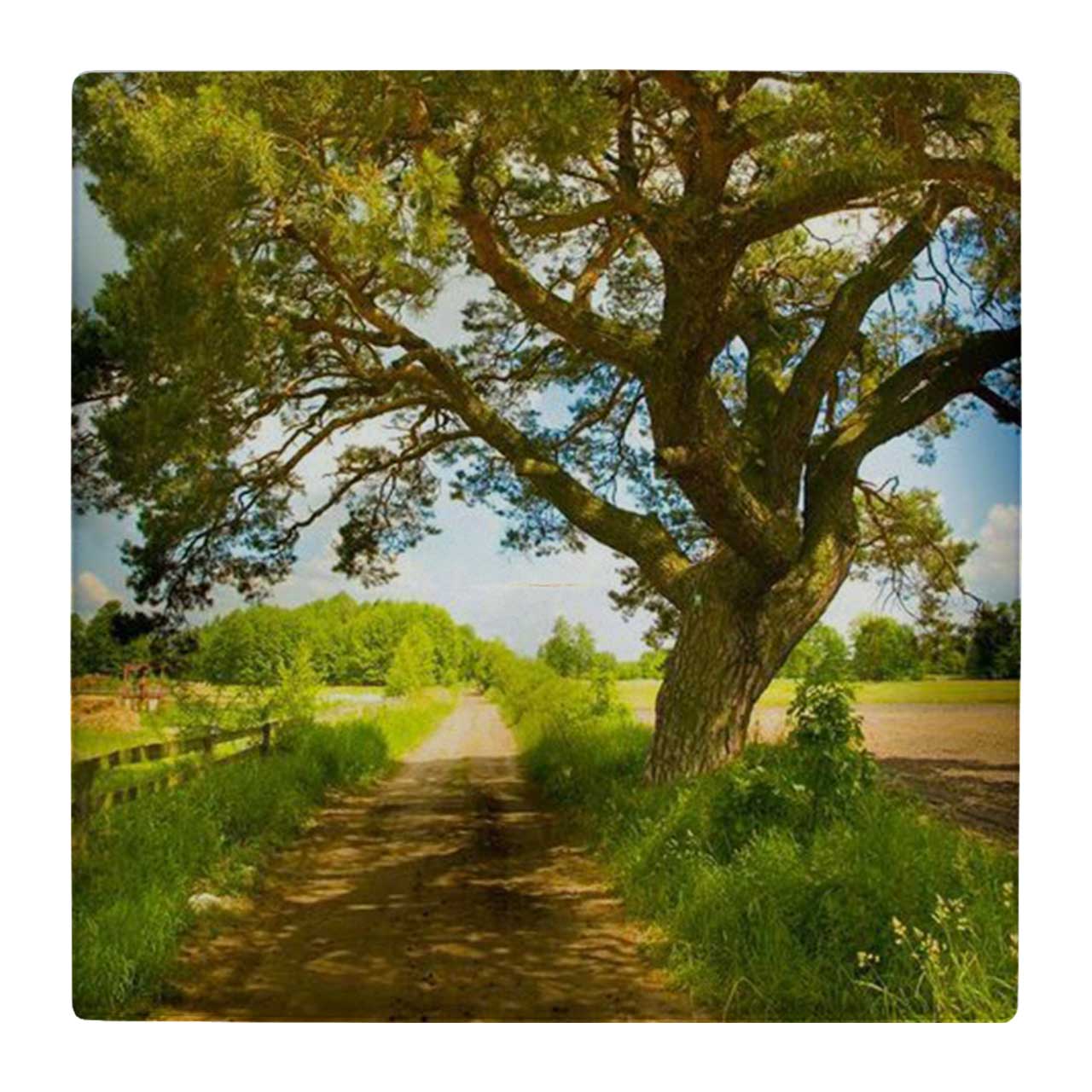 زیر لیوانی  طرح منظره روستایی کد    4862664_3803