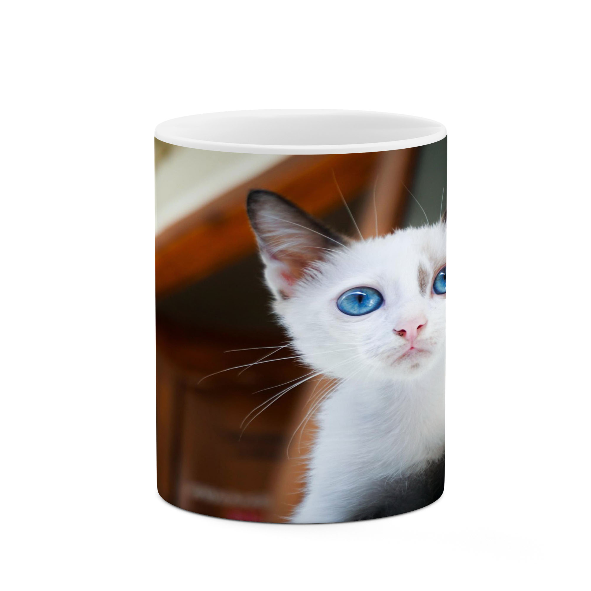 ماگ کاکتی طرح گربه مدل mgs17331