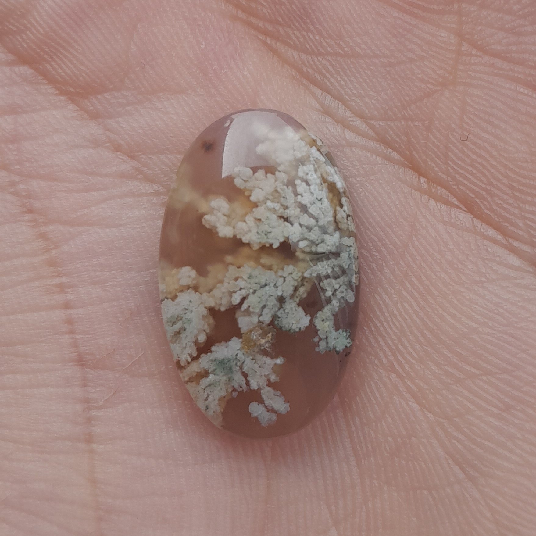 نگین عقیق شجر  کد 100