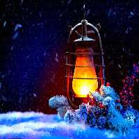 خرید و دانلود عکس Christmas_gift-7 کد 12434 | پیک فاکس | Pic Fox