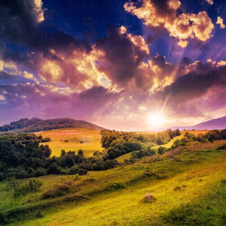 خرید و دانلود عکس IranBCS کد 29959 | پیک فاکس | Pic Fox