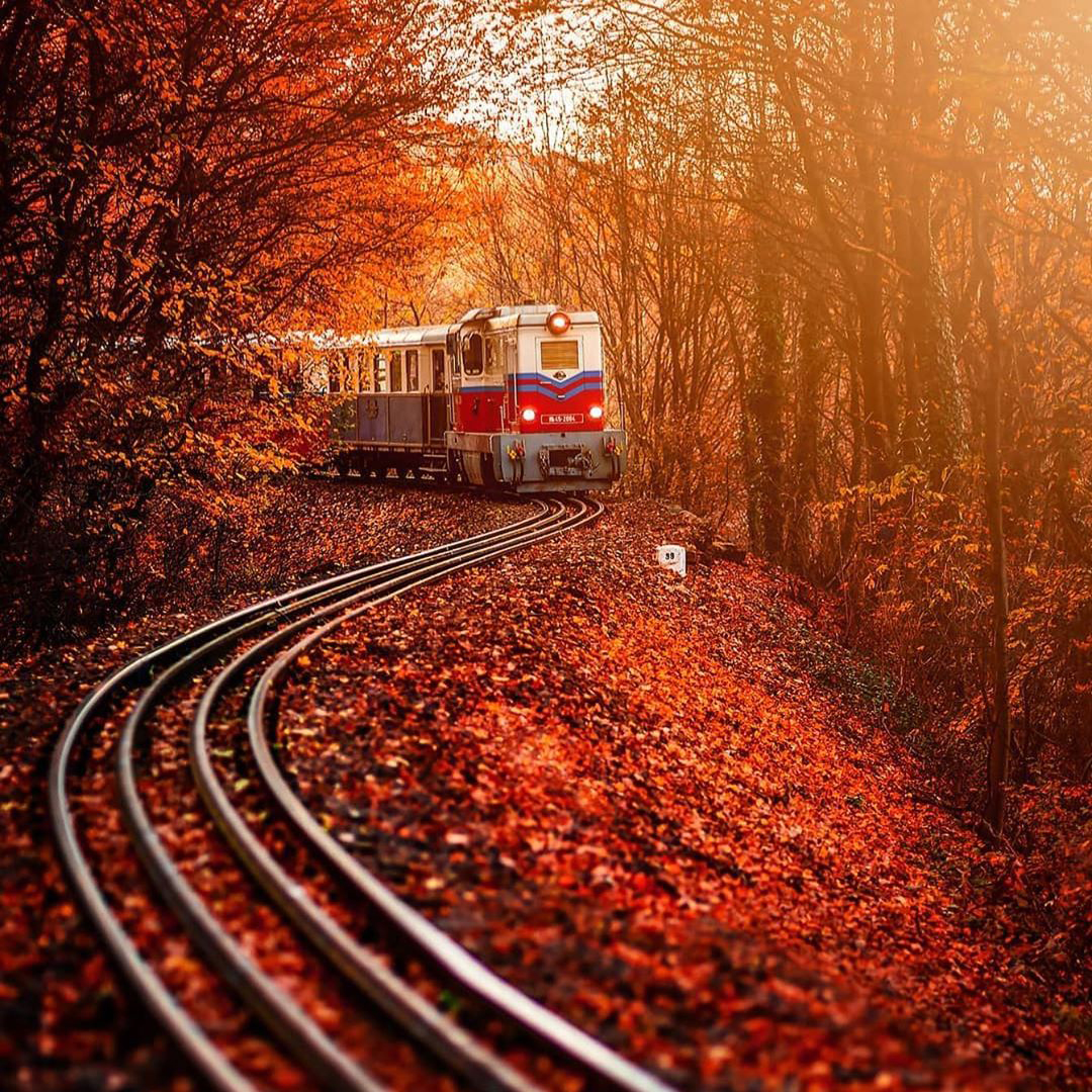  کاشی طرح قطار و جنگل پاییزی کد wk3021