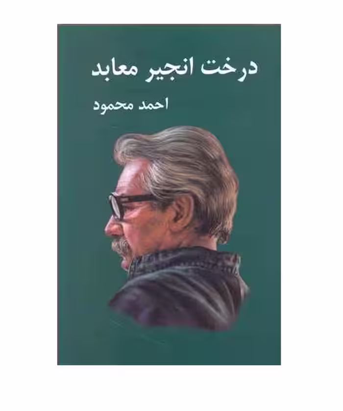 کتاب درخت انجیر معابد 2 جلدی