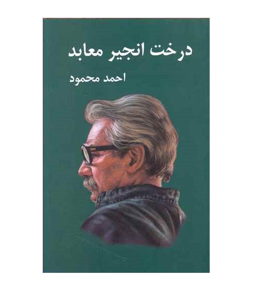 کتاب درخت انجیر معابد 2 جلدی